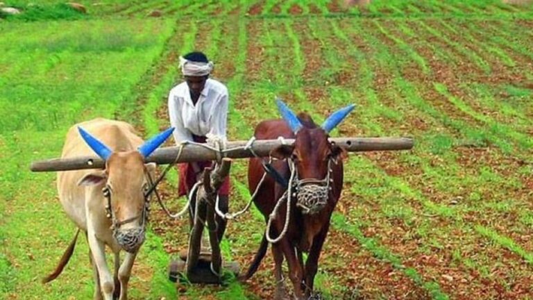 किसानों के लिए कौन सी योजनाएं हैं महत्वपूर्ण?